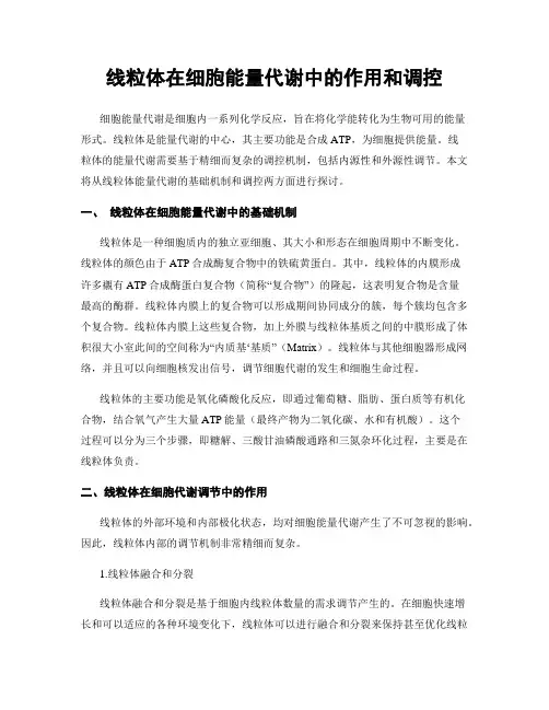 线粒体在细胞能量代谢中的作用和调控