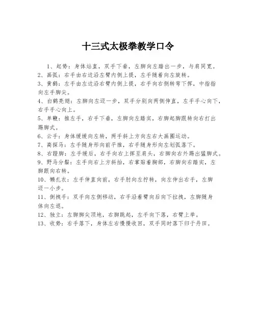 十三式太极拳教学口令