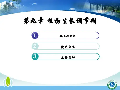 《植物生长调节剂》PPT课件