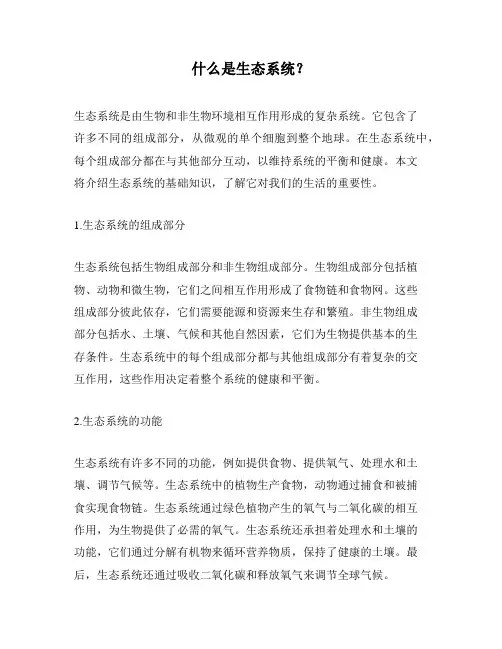 什么是生态系统？