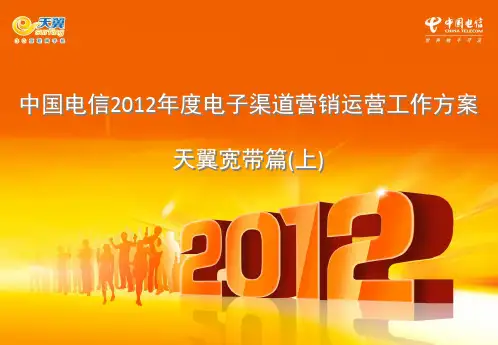 中国电信2012年度电子渠道营销运营工作方案-天翼宽带篇(上)