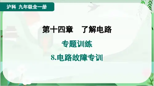 2024年沪科版九年级物理专题训练8.电路故障专训