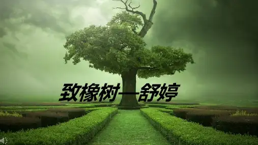 《致橡树》朗诵