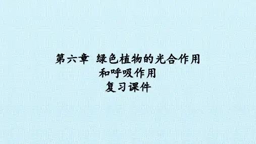 苏教版七年级生物上册：第六章  绿色植物的光合作用和呼吸作用  复习课件
