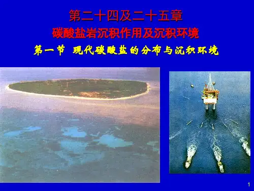 碳酸盐岩成因及环境