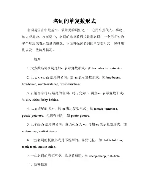 名词的单复数形式