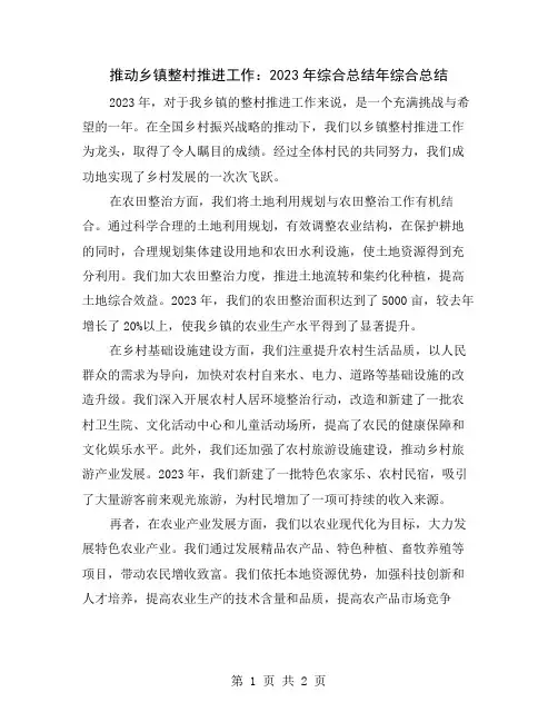 推动乡镇整村推进工作：2023年综合总结