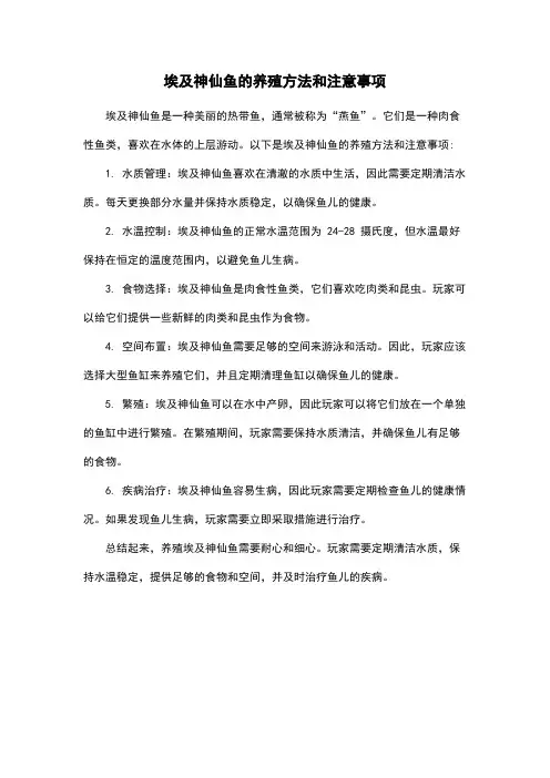 埃及神仙鱼的养殖方法和注意事项