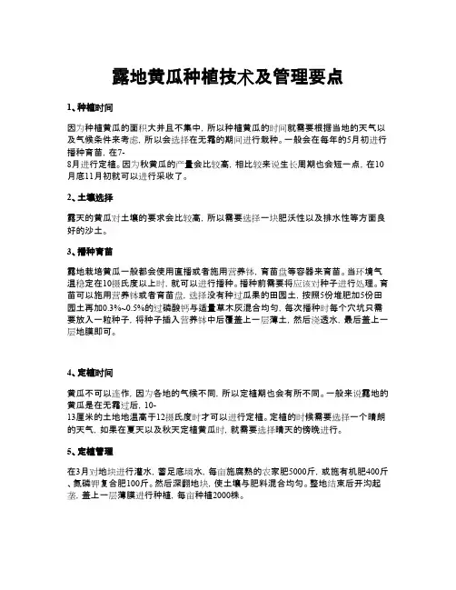 露地黄瓜种植技术及管理要点