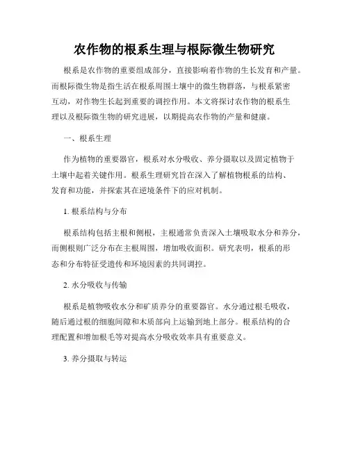 农作物的根系生理与根际微生物研究