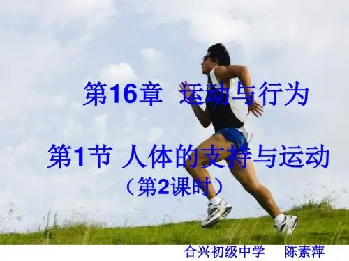 八年级生物人体的支持与运动2