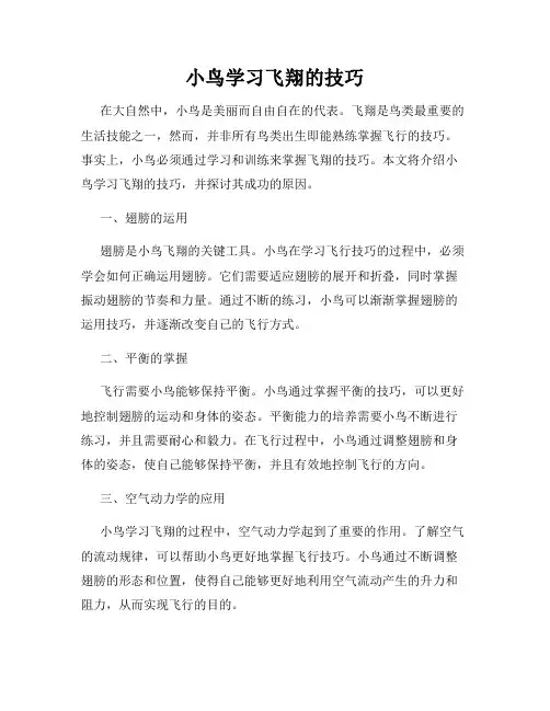 小鸟学习飞翔的技巧