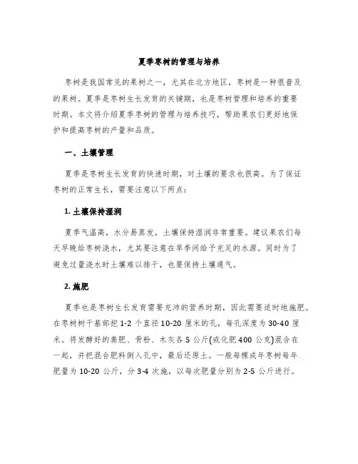 夏季枣树的管理与培养