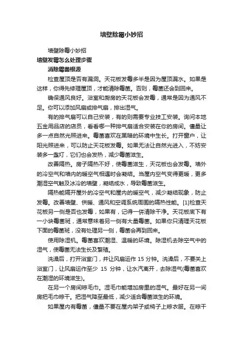 墙壁除霉小妙招