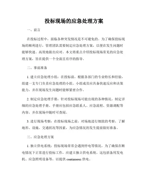 投标现场的应急处理方案
