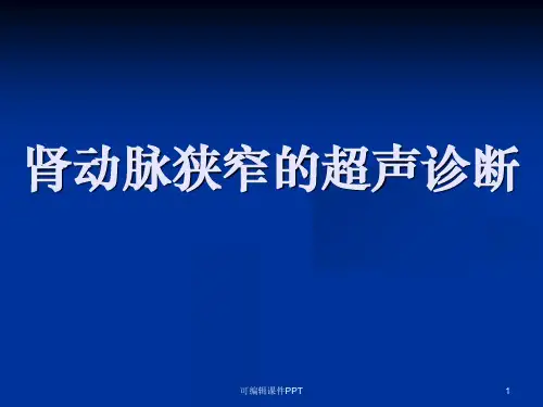 肾动脉狭窄的超声诊断课件