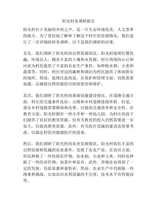 阳光村务调研报告