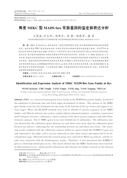 黑麦ＭＩＫＣ_型ＭＡＤＳ-ｂｏｘ家族基因的鉴定和表达分析