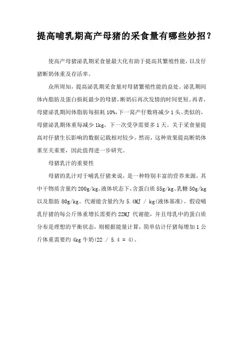 提高哺乳期高产母猪采食量有哪些妙招？