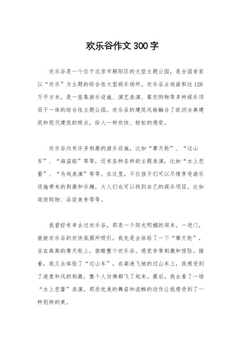 欢乐谷作文300字