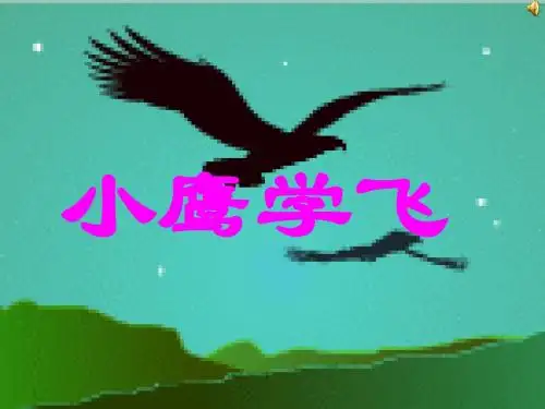 苏教版二年级语文上册《小鹰学飞》课件