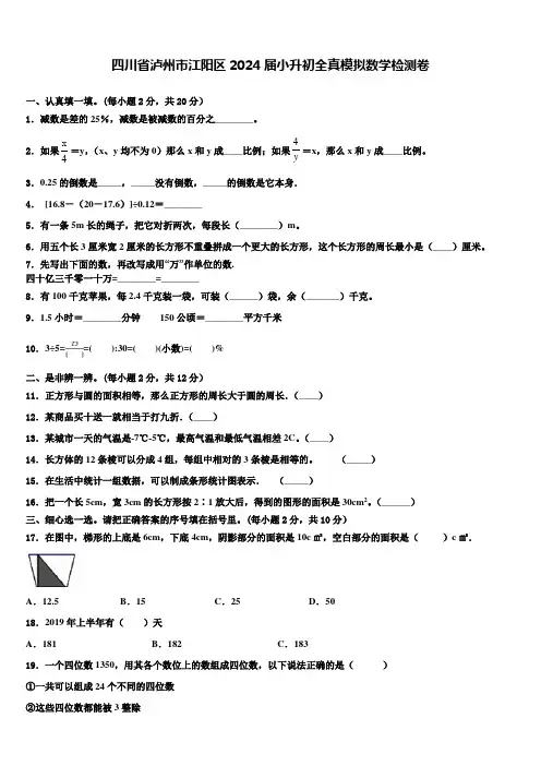 四川省泸州市江阳区2024届小升初全真模拟数学检测卷含解析