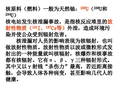 核电荷数=质子数