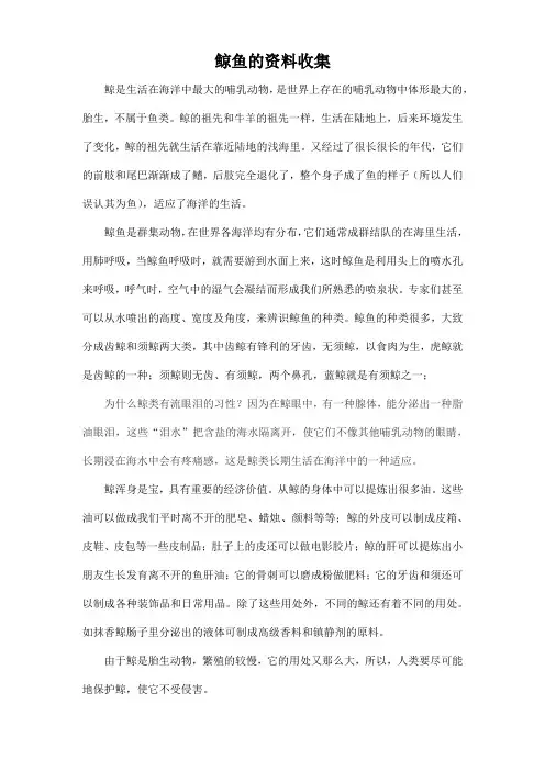 鲸鱼的资料收集