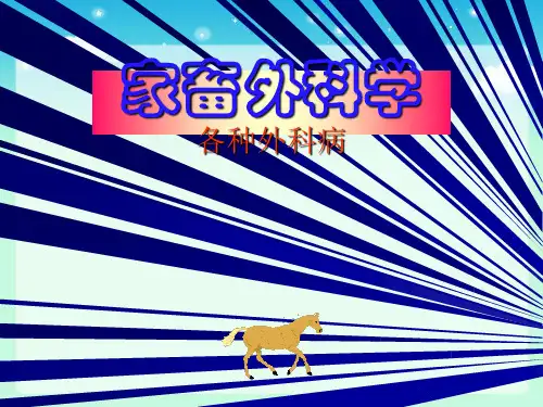兽医外科学-家畜外科病
