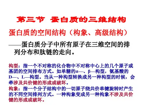 第三节蛋白质的三维结构