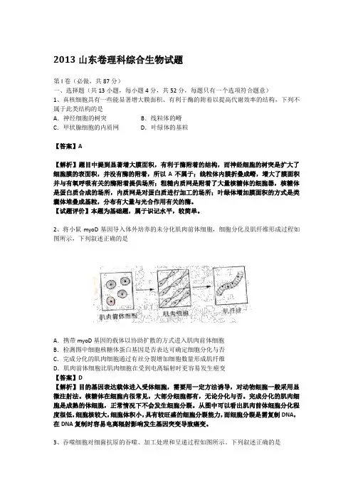 2013高考生物山东卷解析版