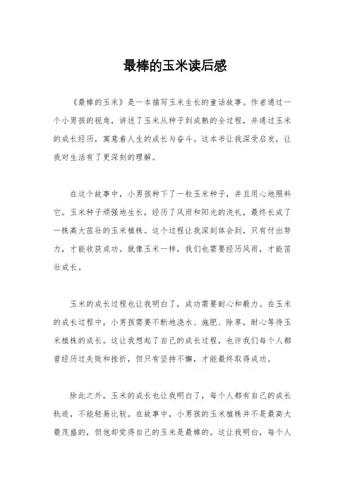 最棒的玉米读后感