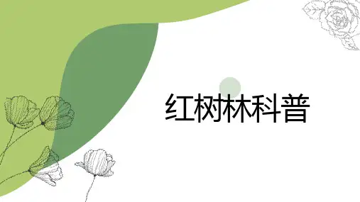 红树林科普