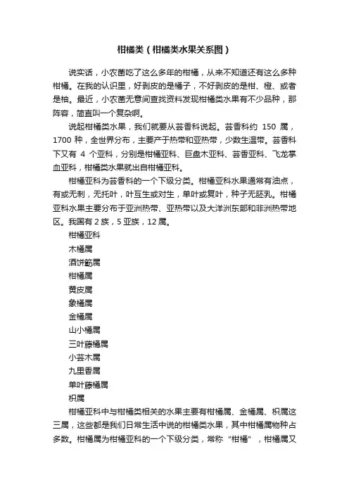 柑橘类（柑橘类水果关系图）