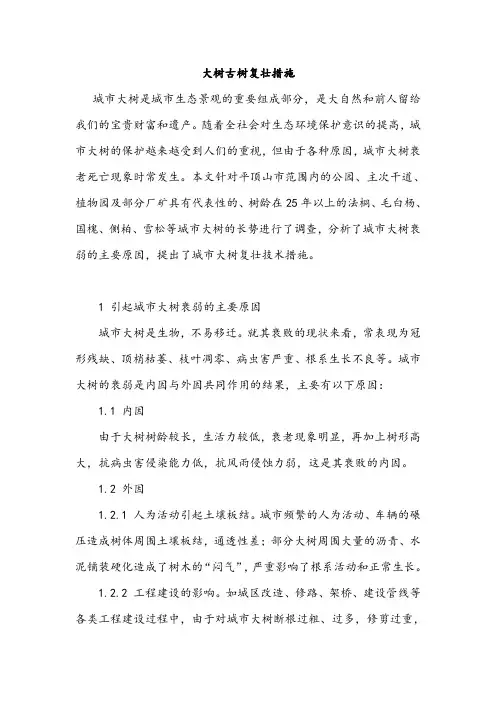 大树古树复壮措施
