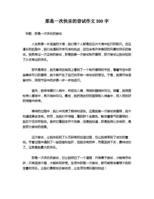 那是一次快乐的尝试作文500字
