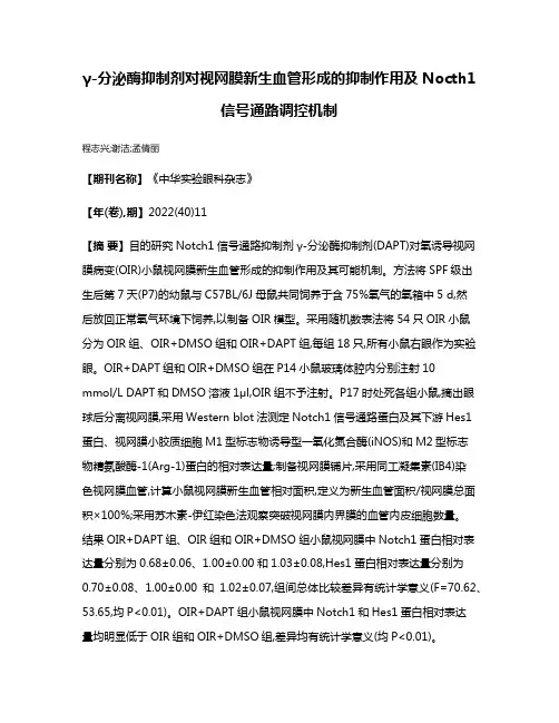 γ-分泌酶抑制剂对视网膜新生血管形成的抑制作用及Nocth1信号通路调控机制