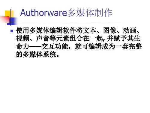 Authorware多媒体制作