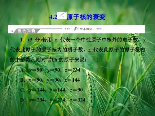 4.2 原子核的衰变同步备课课件 沪科版选修3-5课件