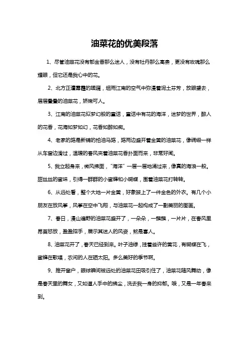 油菜花的优美段落