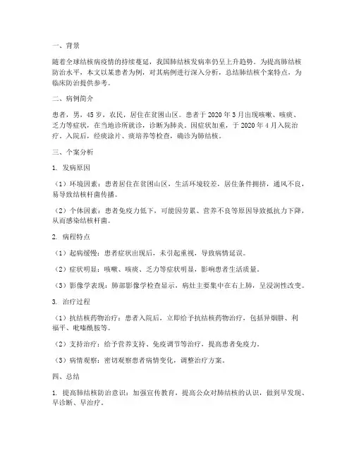 肺结核个案分析总结范文