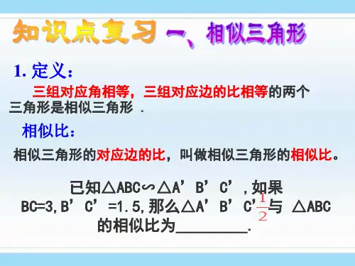 图形的相似