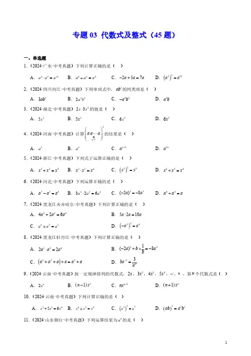 2024年中考数学真题分类汇编(全国通用)专题03 代数式及整式(45题)(含答案)