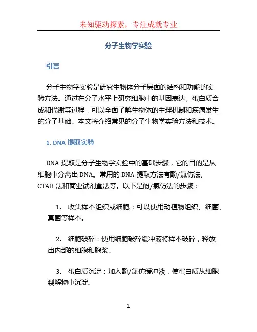 分子生物学实验