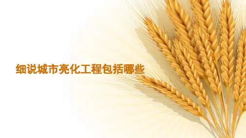 细说城市亮化工程包括哪些