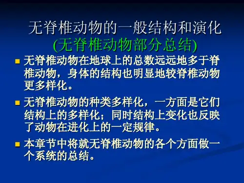 无脊椎动物总结