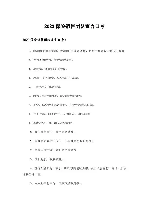 2023保险销售团队宣言口号