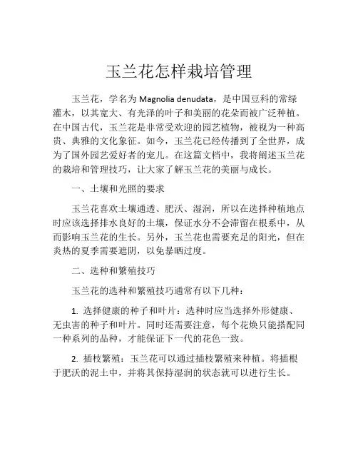 玉兰花怎样栽培管理