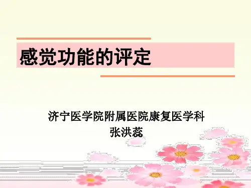 感觉功能的