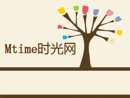 电子商务案例-PPT精品